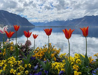17 April - Around Montreux, Quais Fleuris