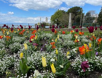 24-25 April - Around Montreux