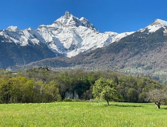 26 April - Bex to St Maurice Cime de l'Est