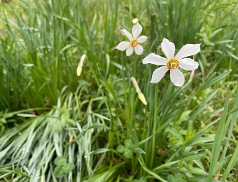 29-30 April - Around Montreux