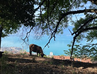 11-12 September - Around Montreux