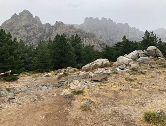 18 September - To Livie