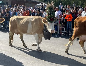 30 September - Desalpes Etivaz, Hike in Pays d'Enhaut with Rich