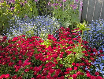 11-12 April - Around Montreux