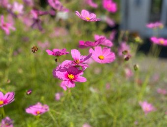 16-20 August - Around Montreux