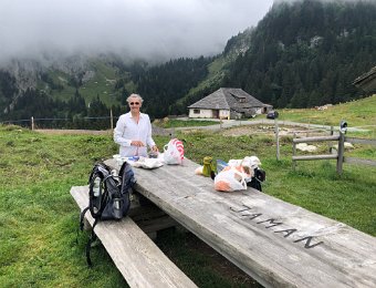 21 August - Col de Jaman to Lenk via Les Cases