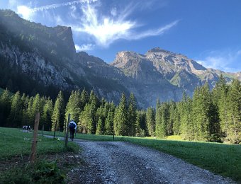 21-23 August - Multi-day Simmentall Hike