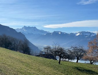 14 February - Around Montreux