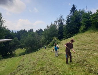 11 July - Narcissus Hay Day Two