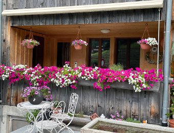 17 July - Diemtigtal Day One