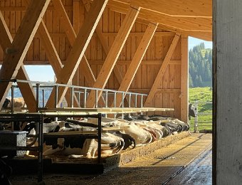 18 July - Diemtigtal Day Two