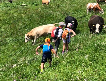 30 July - Hiking from Champery