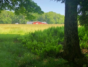 17 June 2024 - Visiting Jeff and Zoe