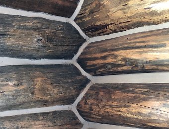 20 June 2024 - Tiny Orchard to Montreal