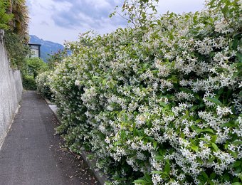 27 June - Return to Montreux