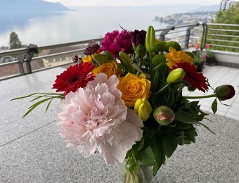 1 - 2 May - Around Montreux