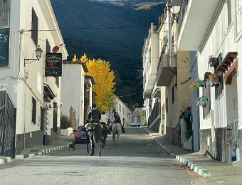 20 Nov Caves and Drive into the Alpujarra