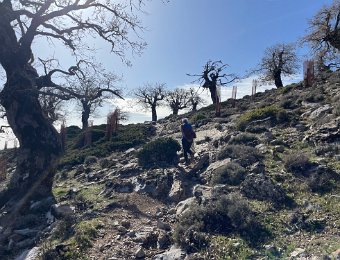 30 Nov Sierra de las Nieves and back to Malaga