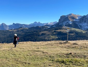 15 Nov Semsales and Around Niremont with Monica