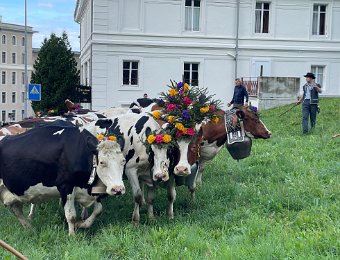 14 September Des Alpes at Caux