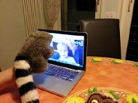 20151012 212717  12 October: Val saying hi to the raccoon!