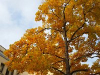 20151014 103114  Nice next to the building