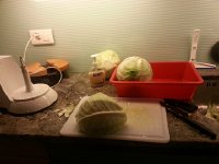 20151016 205725  Lots of chopping and food processing