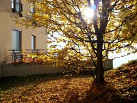 20151025 152847  Just taking the trash out to the garage is beautiful