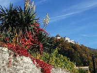 20151025 153413  Above us