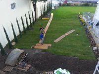 20151030 074325  30 October: more lawn rolled out