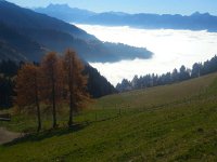 20151031 123516  Larches and valley fog