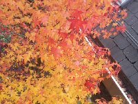 20151031 142841  ...