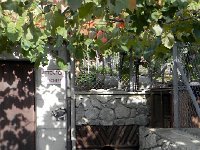 DSCN5022  Valaisan humor