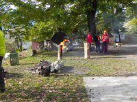 DSCN5023  Up in an 800 year old chestnut &#34;orchard&#34;