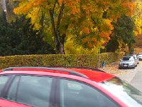 20151017 111543  Not what I planned, but kinda nice in the end...