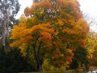 20151017 111547  What I was originally looking at..