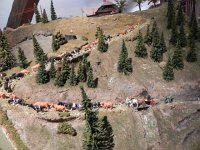 DSCN5004  and of course La Poya!