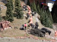 DSCN5011  The cows marching up to the pasture...