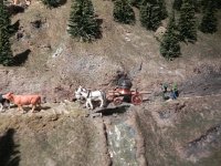 DSCN5016  with the chauderon coming behind (see last months Désalpes in Charmey for the real thing)