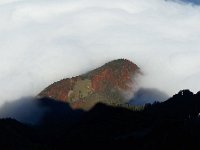 20151026 114126  A long view down to the beech trees and the stratus