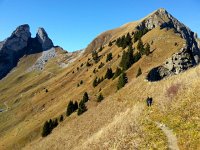 20151026 132229  Side trip to the Alamont