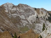 20151026 132735  Not really a pasture here!