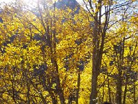 20151026 141837  Resting our feet on the way down