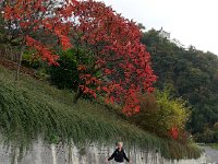 20151011 153026  and headed up toward Sonzier...