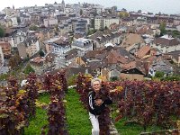 20151011 153149  Look at the purple of these grape vine leaves!