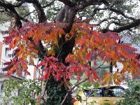 20151011 155755  to see the colors